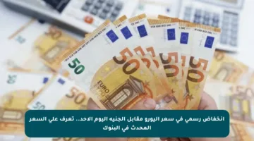انخفاض رسمي في سعر اليورو مقابل الجنيه اليوم الأحد.. تعرف على السعر المحدث في البنوك